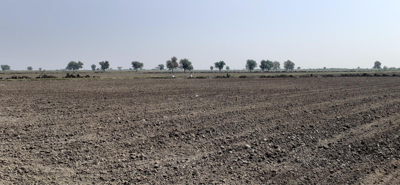 Surrounding Area