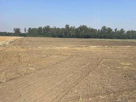 Wide view across the land parcel